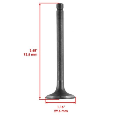Kit Valvole Caltric 2401701-S Kit Valvole Aspirazione E Scarico Caltric Per Motori Kohler - 10 Pezzi, Nuovo Valvole Per Kohler 3201602-S Kit Valvole Caltric 2401701-S Kit Valvole Aspirazione E Scarico Caltric Per Motori Kohler - 10 Pezzi, Nuovo Valvole Per Kohler 3201602-S