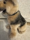 1975 Vintage Realistic Dakin German Shepherd 14" Plush Dog Stuffed Animal — photo 5