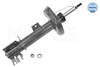 Meyle 226 623 0024 StoßDäMpfer Passend FüR Fiat