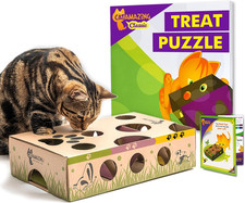 Best Cat Toy Ever Interactive Treat Maze  Puzzle Feeder for Cats