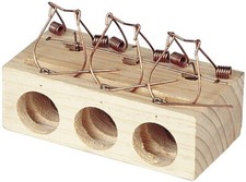 Souricière En Bois Petite 3 Trou 4x6x13 Pour Souris Et Rats Petits RATERA