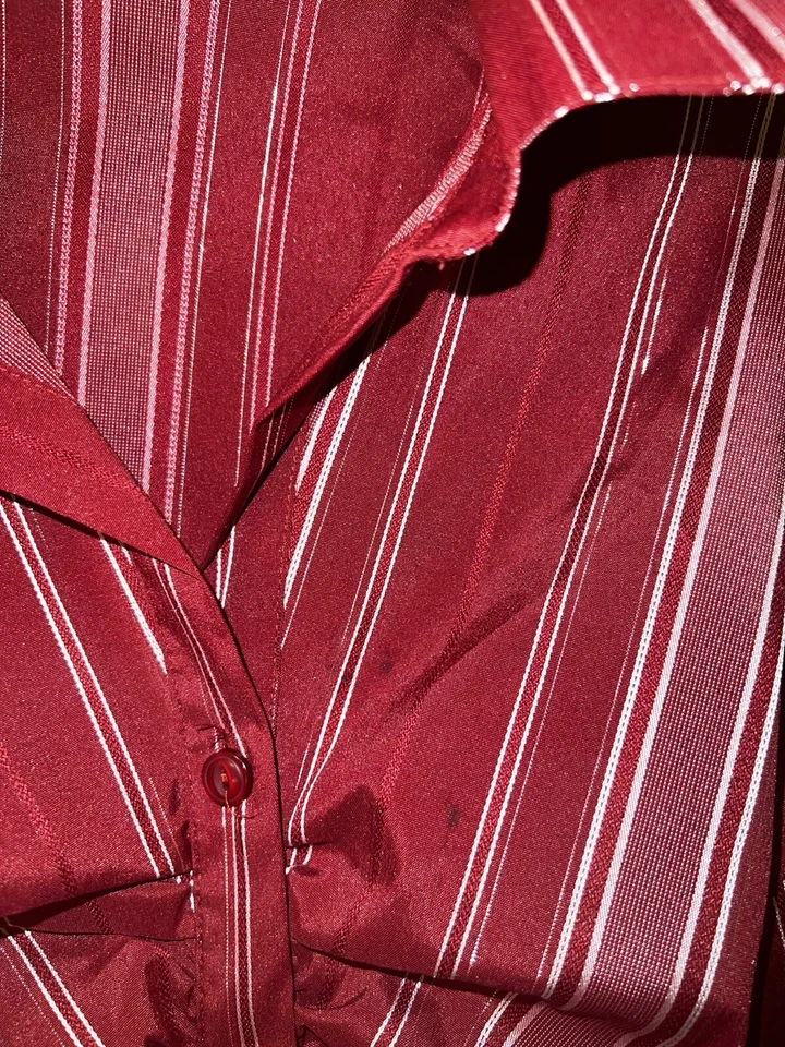 Cato womens silver and red striped button down long sleeve blouse plus 14W/16W - Image 3 of 4