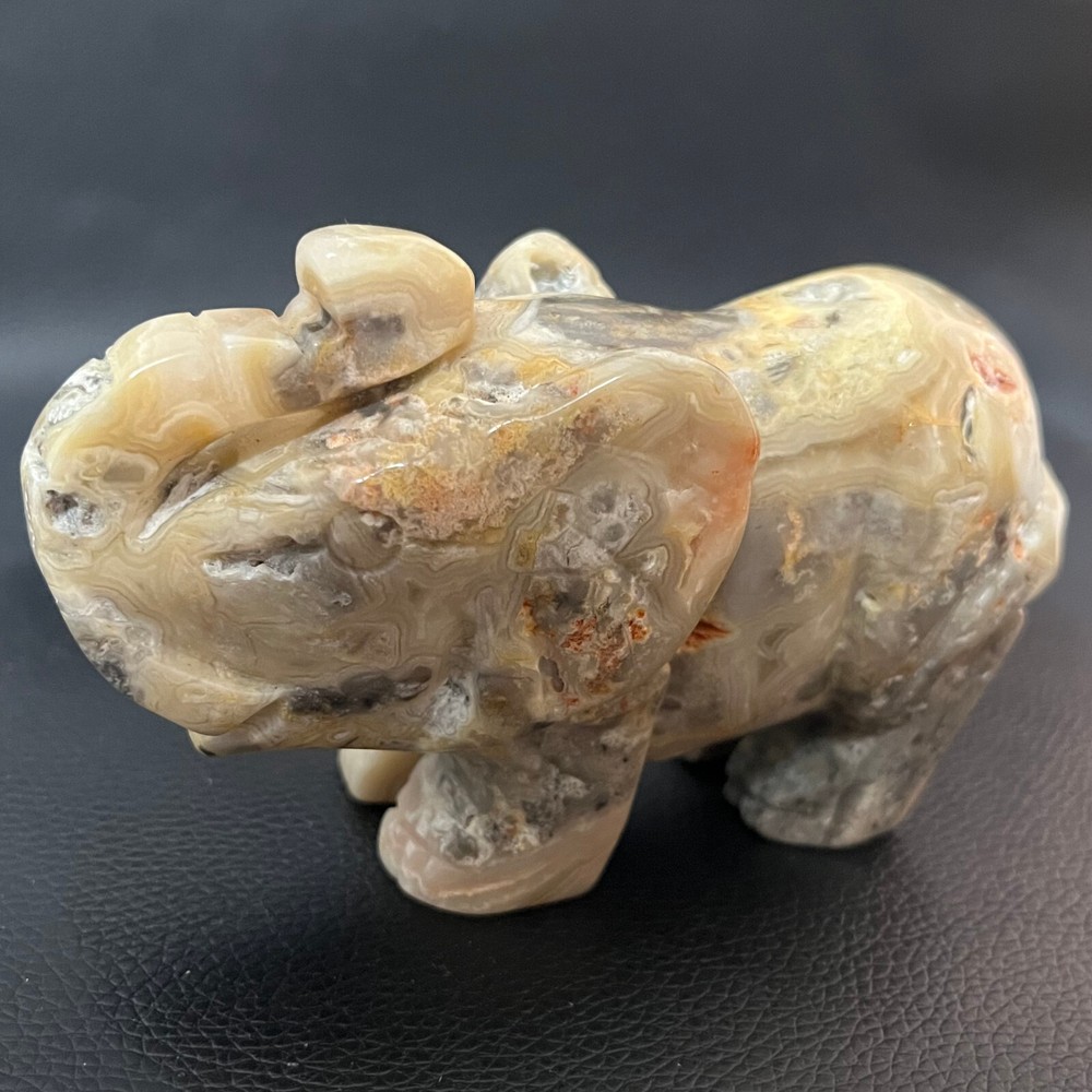479G Natural crazy lace agate elephant geode crystal carved elephant skull