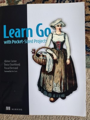Learn Go with Pocket-Sized Projects, Alinor Latou