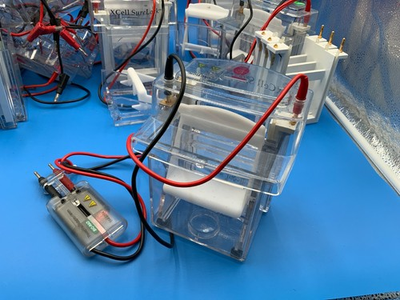 #ad Xcell Surelock Novex Mini cell gel rig Life technologies Lid Inset Set Powerpac $25.00