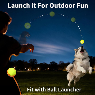 LED Dog Balls Interactive Dog Ball Toys USB Rechargeable Silicon Water Resistant