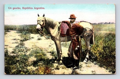 Un Gaucho Cowboy Republica Argentina Horse Postcard