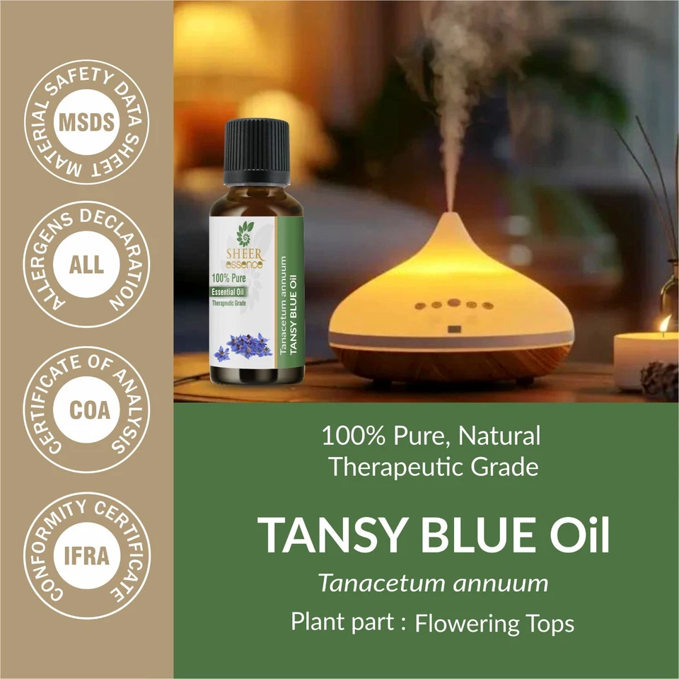 Blue Tansy Oil-(Tanacetum annuum)-100% Natural Undiluted Uncut Essential OiL 5ML - Image 2 of 4