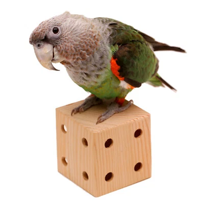 PARROT WIZARD Natural Parrot Foraging Box - Destructible Bird Chew Toy for All Size Parrots