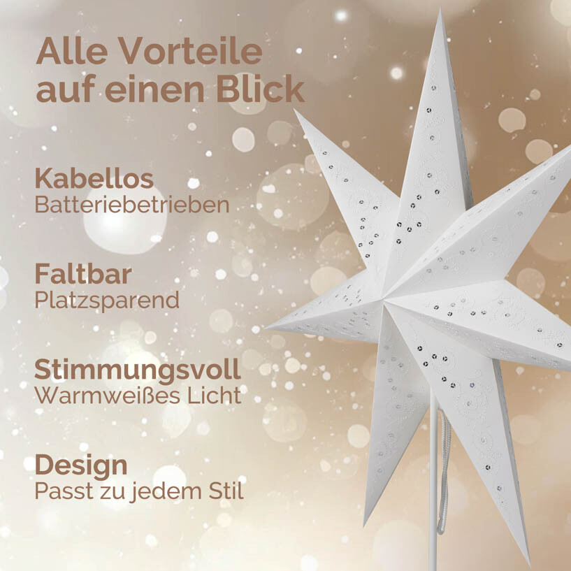 Casaria LED Weihnachtsstern Beleuchtet 60 Cm Batterie Fenster Weiß
