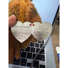 Ty Beanie Baby Beak Kiwi Bird 1998 WITH Tags   P.E. Pellets   Retired Plush