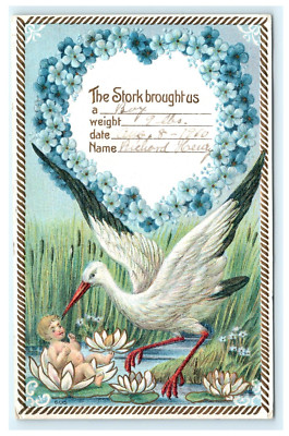 1910 Los Angeles The Stork Brought Us Richard Embossed Lilly Pond Paternity