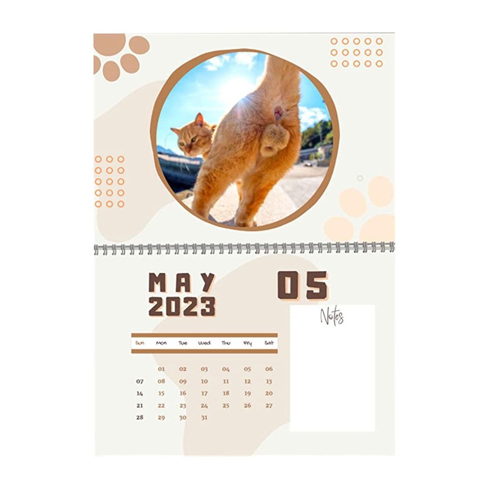 cats-buttholes-calendar-2023-funny-cat-balls-calendar-wall-calendar-gifts-ebay