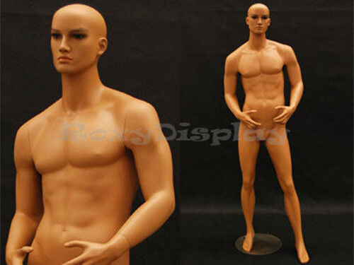 Tan skin young male mannequin Dress Form Display #MD-HAM24 - Picture 1 of 4