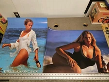 Michelob Dry Poster Swimsuit Model Girls LOT Vintage