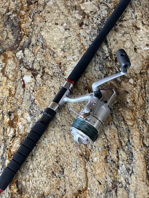 Daiwa Regal X 3500 C (A+) Rating Clean & Smooth. | eBay