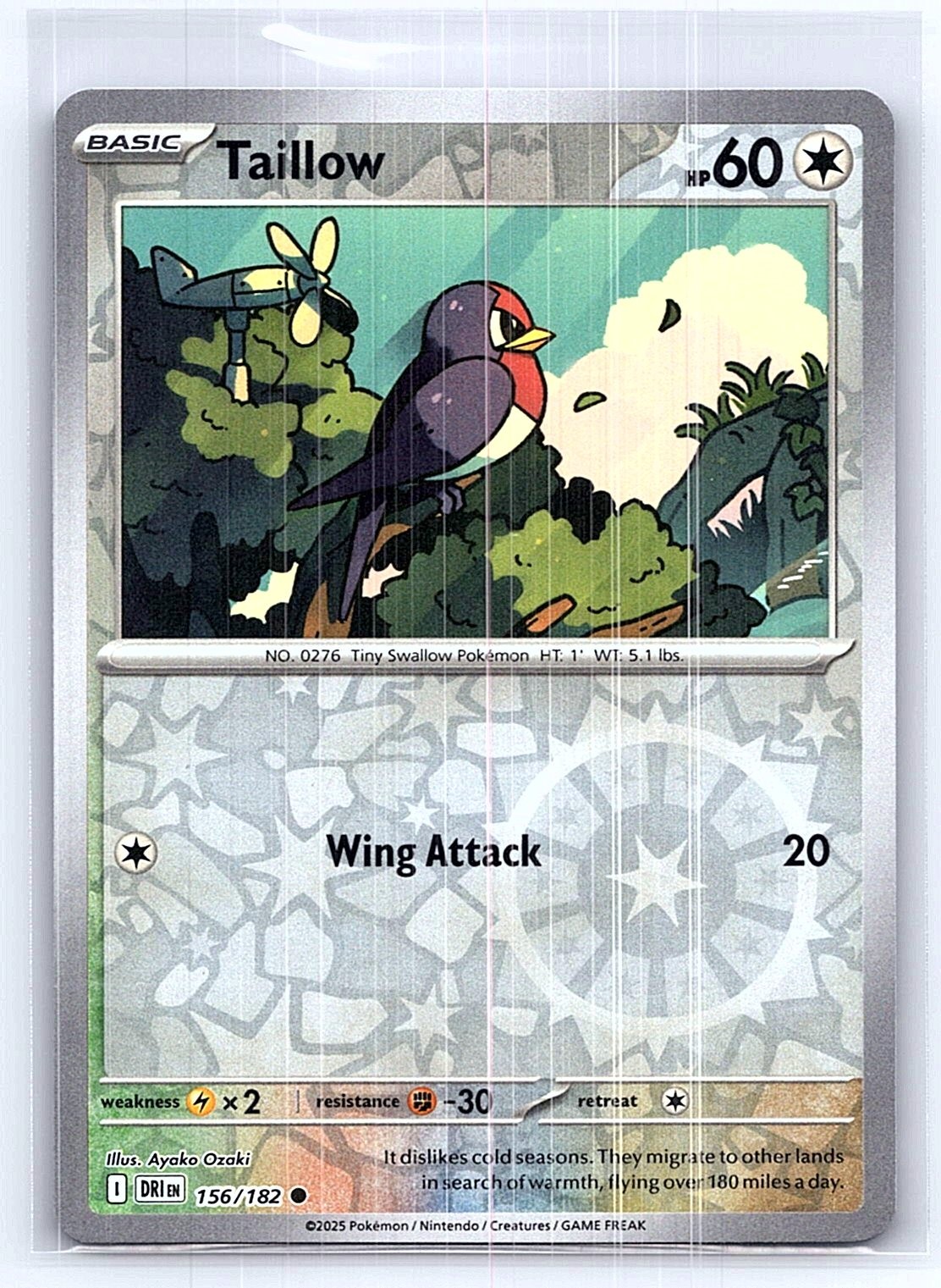 Taillow Reverse Holo Common SV10: Destined Rivals 156/182 NM