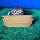 Bild 11 von 11