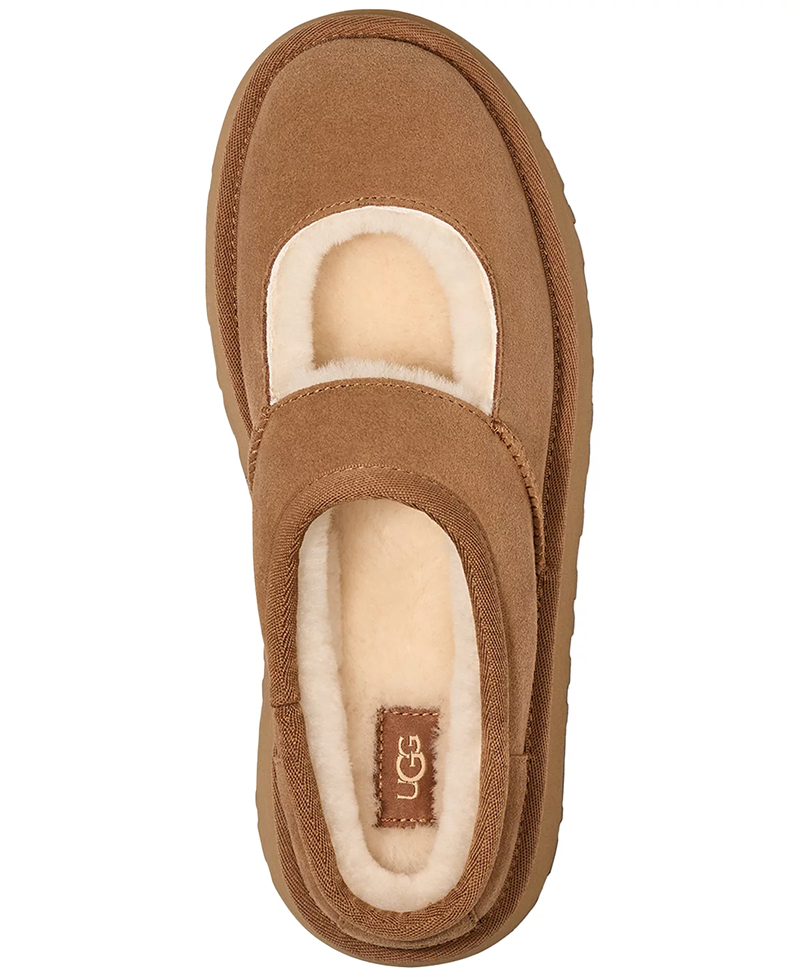 靴 UGG TAZZ Chestnut Ugg W Tazz Chestnut – Hollistercomfortshoes