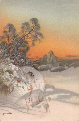 ARTIST SIGNED: Carl Brandt - Winter Landscape - Snow & Birds - 1906