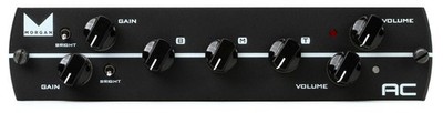 Synergy Morgan AC 2-channel Preamp Module (2-pack) Bundle