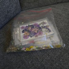 Lot Of Pressed Dried Flowers