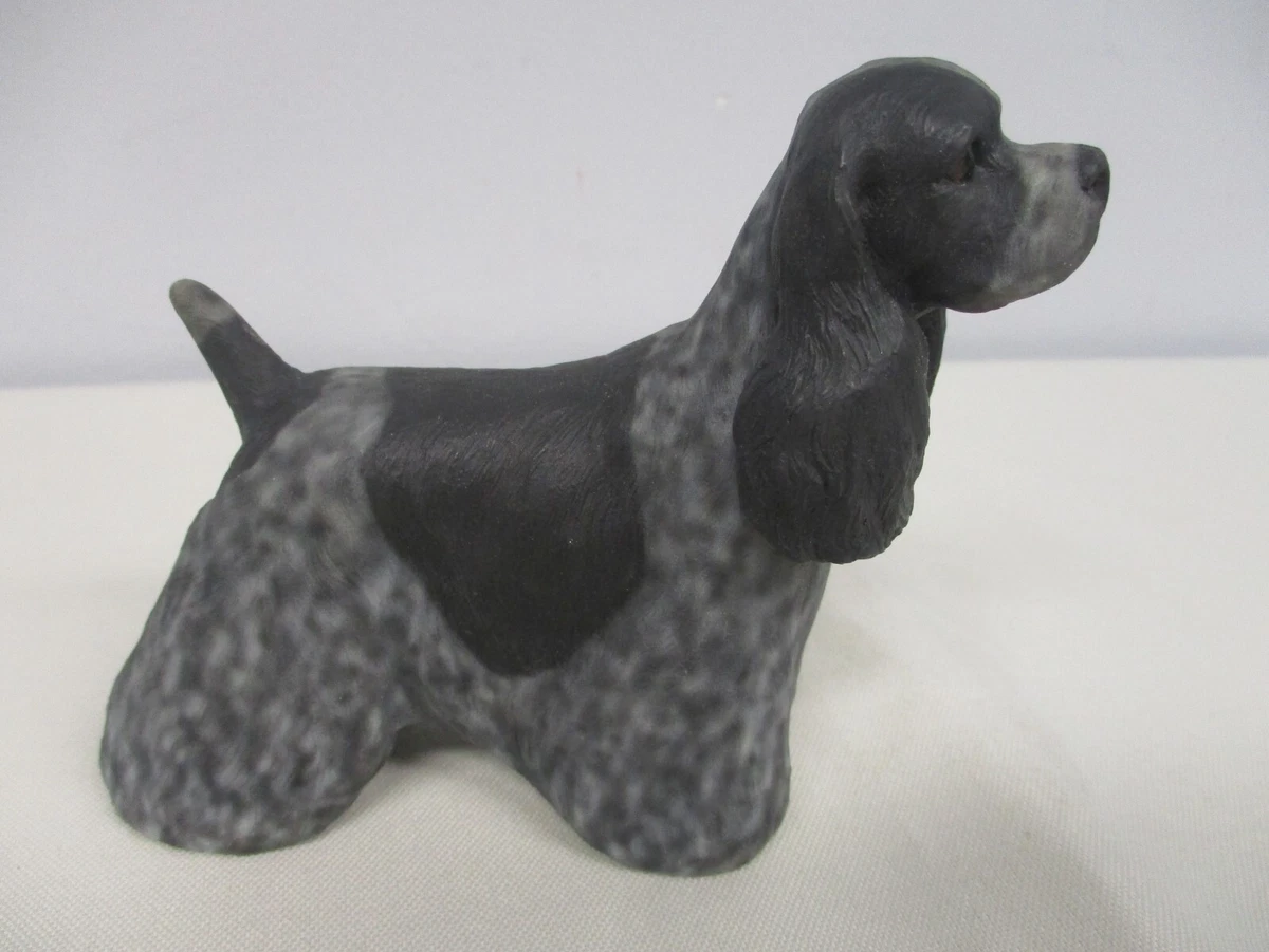 Blue roan american cocker cheap spaniel