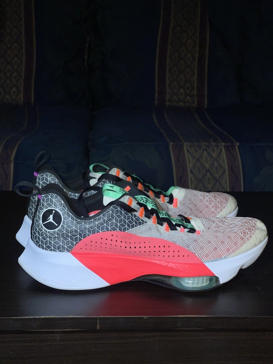 jordan air zoom renegade review