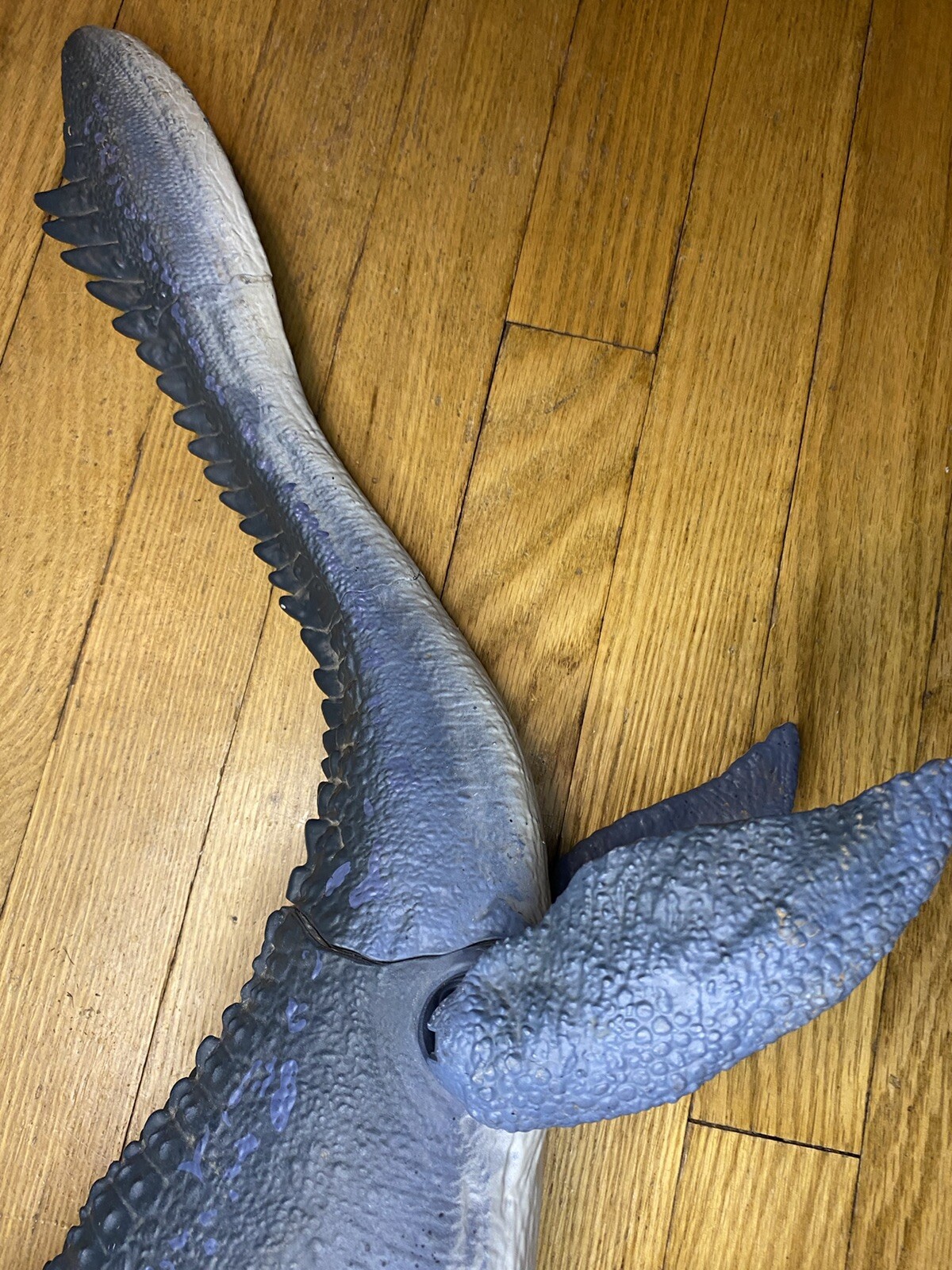 Picture 8 of 16
