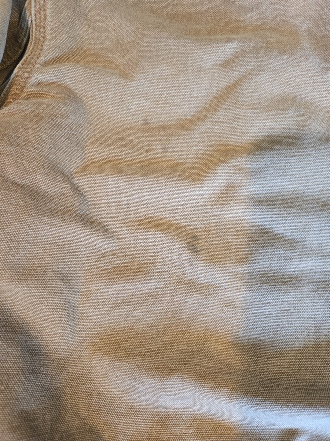 Picture 8 of 8