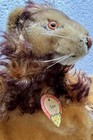 Bild 3 von 6
