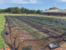 DeWitt Knitted Shade Stock Tarp (multiple sizes and percentages)