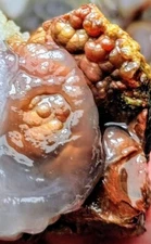 Vintage 1970s Deer Creek Arizona Fire Agate Rough 4.0 Ounces