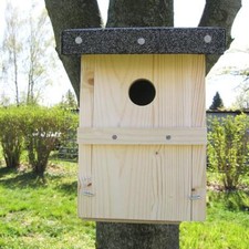 Nichoir " Mésange Charbonnière " 32 MM, Logis ,Kohlmeisen,Incubateur,Nichoir