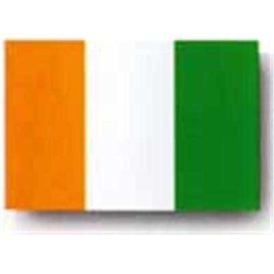 Annin Flagmakers 194174 5 ft. X 8 ft. Nyl-Glo Ivory Coast Flag