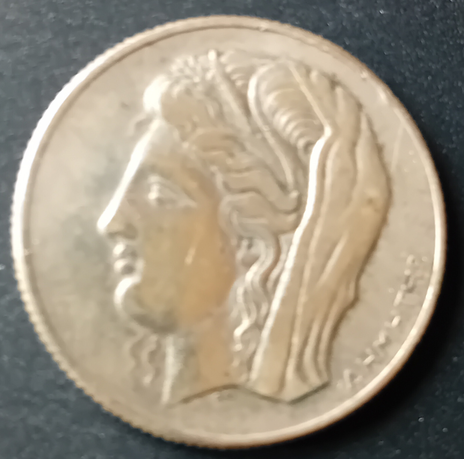 Picture 5 of 8