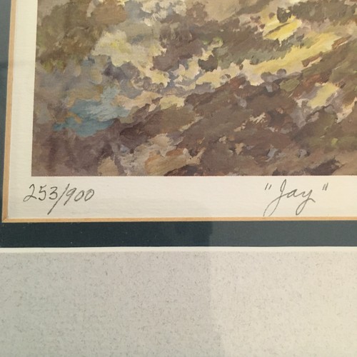 "Jay" by VIRGINIA KNIGHT Signed, Matted, and Framed Limited Ed. Print #253/900 - Picture 7 of 16