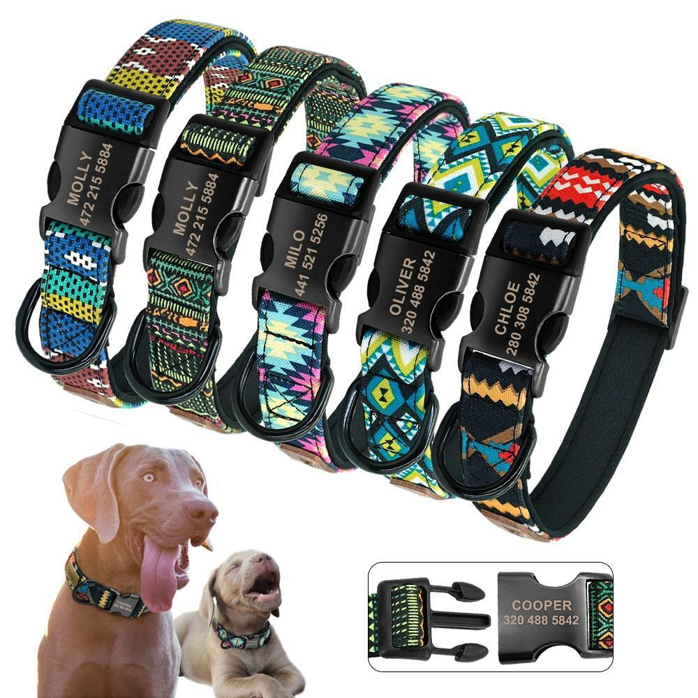 Personalized Dog Collar Cat Collar- Five Funky Pattern