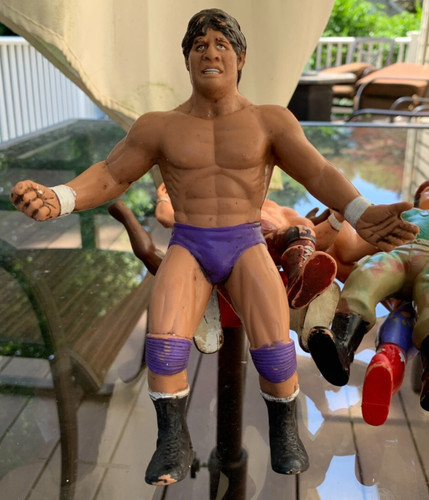 Rare 1986 Titan LJN WWF Wrestling Tito Santana 8 R...