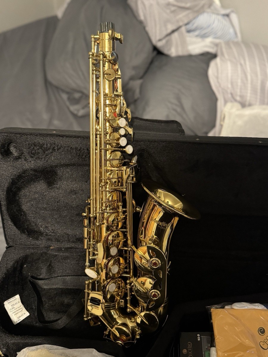 Mendini by Cecilio MAS-L サックス 本体美品 Mendini By Cecilio MAS-L Gold Saxophone Used w/ Case New In Box