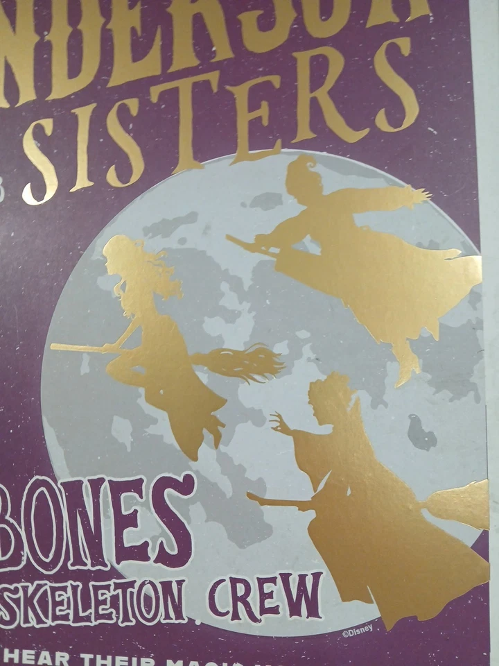 Póster de concierto Disney Hocus Pocus arte de pared placa de madera brujas HALLOWEEN SALEM Foto 4 de 4