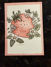 ACEO Original Strawberry With Strawberry Blossoms