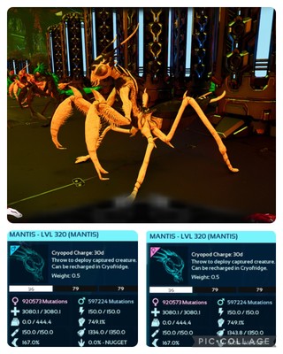 ark survival ascended pve OREO MANTIS ZUCHTPAAR LEVEL 320