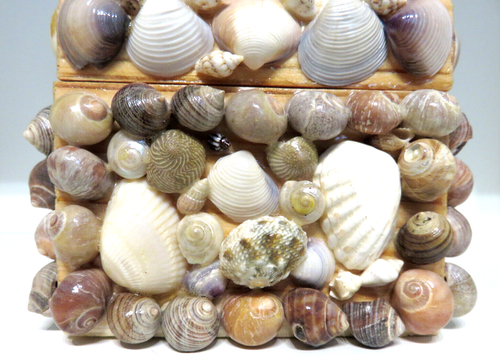 Wooden Box Hinged Latched Sea Shell Beach Seashell Decor Jewelry Organizer Case - Picture 8 of 9