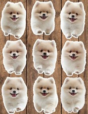 Pomeranian Dog Vinyl Die Cut Stickers Set Scrapbooking Laptop Waterbottle