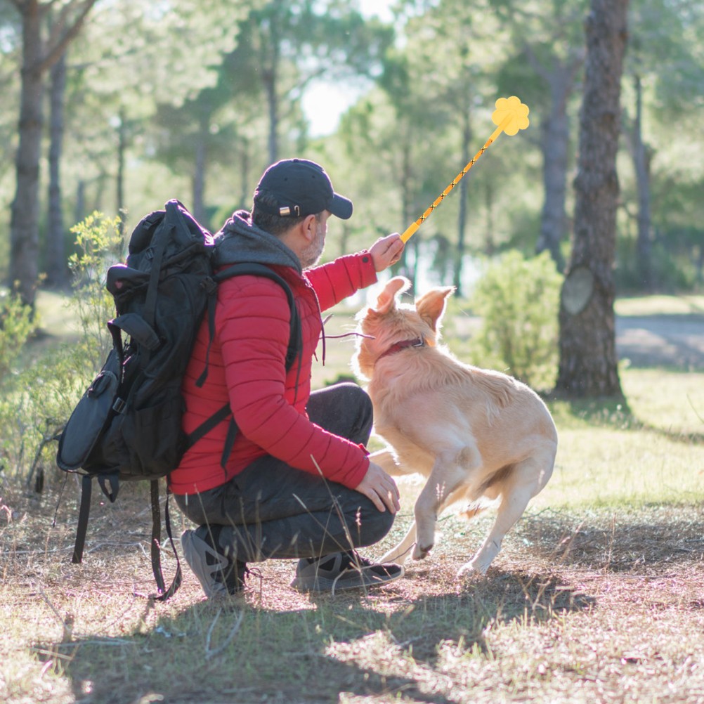 Confezione di 3 Accessori per Addestramento Cani foto 5