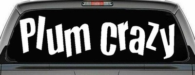 Plum Crazy Muscle Car Speed 4x4 Car or Truck Window Vinyl Decal Sticker