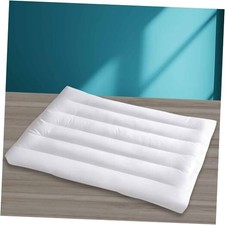 Ultra Flat Thin Pillows for Sleeping Queen Size, 2-1/2" High 2.5"H Queen 1PC
