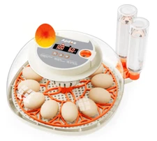 12 Egg Incubator, Auto Turn, Humidity/Temp Display, Candler, Refill