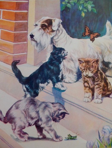 Sealyham Terrier Dog 1939 Vintage Children's Book Illustration Victor Becker